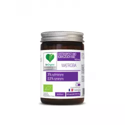 Import produktów XML malowia.pl